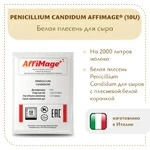 Белая плесень Penicillium Candidum AFFIMAGE® (10U)