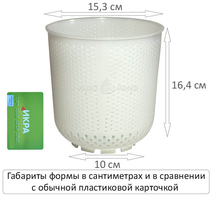 форма итальянская качотта